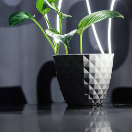 Decorative Plant Pot