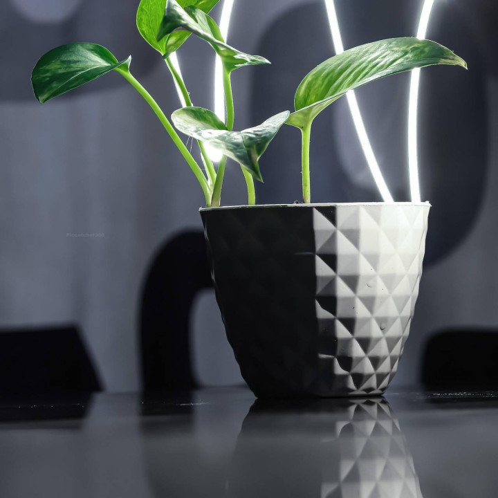 Decorative Plant Pot