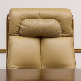 Ergonomic Office Chair