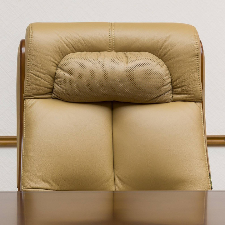 Ergonomic Office Chair